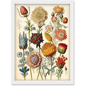 Artery8 Vintage Botanical Ernst Haeckel Inspired Plant Study Modern Watercolour Painting Illustration Artwork Framed Wall Art Print A4 Artery8 Vintage Botanical Ernst Haeckel Inspired Plant Study Modern Watercolour Painting Illustration Artwork Framed Wall Art Print A4