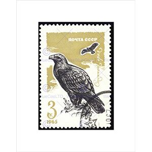 Wee Blue Coo POSTAGE USSR SOVIET STAMP 1965 RAPTOR NEW BLACK FRAMED ART PRINT B12X11053 Wee Blue Coo POSTAGE USSR SOVIET STAMP 1965 RAPTOR NEW BLACK FRAMED ART PRINT B12X11053