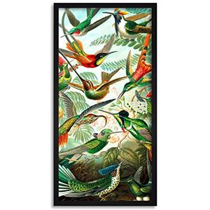 Wee Blue Coo Haeckel Hummingbirds Detail Long Panel Framed Wall Art Print Wee Blue Coo Haeckel Hummingbirds Detail Long Panel Framed Wall Art Print