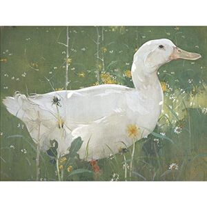 Fine Art Prints Joseph Crawhall The White Drake Large Wall Art Print Canvas Premium Poster Mural Fine Art Prints Joseph Crawhall The White Drake Large Wall Art Print Canvas Premium Poster Mural