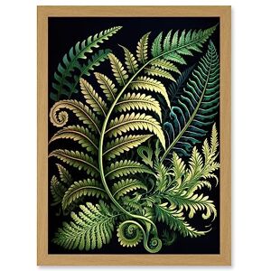Artery8 Ernst Haeckel Style Fern Fronds Leaf Illustration Artwork Framed A3 Wall Art Print Artery8 Ernst Haeckel Style Fern Fronds Leaf Illustration Artwork Framed A3 Wall Art Print