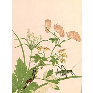 Artery8 Kitagawa Utamaro Katydid Centipede Japanese Painting Premium Wall Art Canvas Print 18X24 Inch Artery8 Kitagawa Utamaro Katydid Centipede Japanese Painting Premium Wall Art Canvas Print 18X24 Inch