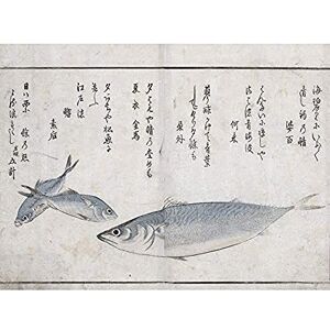 Artery8 Masayoshi Three Fish Japanese Sea Animals Painting Unframed Wall Art Print Poster Home Decor Premium Artery8 Masayoshi Three Fish Japanese Sea Animals Painting Unframed Wall Art Print Poster Home Decor Premium
