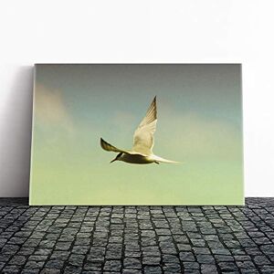 Big Box Art Flying Bird (2) Canvas Print Gallery Wrapped 30mm Frame Wall Art 24x16 inches Ready to Hang Modern Animals Picture Living Room Bedroom Lounge Office Big Box Art Flying Bird (2) Canvas Print Gallery Wrapped 30mm Frame Wall Art 24x16 inches Ready to Hang Modern Animals Picture Living Room Bedroom Lounge Office