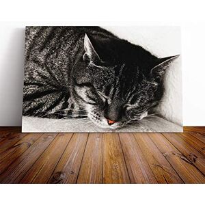 Big Box Art British Shorthair Cat Vol.2 Canvas Print Gallery Wrapped 30mm Frame Wall Art 24x16 inches Ready to Hang Modern Animals Picture Living Room Bedroom Lounge Office Big Box Art British Shorthair Cat Vol.2 Canvas Print Gallery Wrapped 30mm Frame Wall Art 24x16 inches Ready to Hang Modern Animals Picture Living Room Bedroom Lounge Office