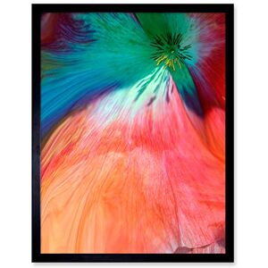 Wee Blue Coo Poppy Petal Colour Tint Art Print Framed Poster Wall Decor 12x16 inch Wee Blue Coo Poppy Petal Colour Tint Art Print Framed Poster Wall Decor 12x16 inch