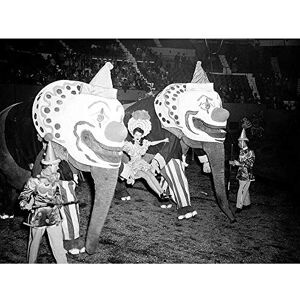 Wee Blue Coo Vintage Photography Circus Elephant Clown Face Showgirl USA Art Print Poster Wall Decor 12X16 Inch Wee Blue Coo Vintage Photography Circus Elephant Clown Face Showgirl USA Art Print Poster Wall Decor 12X16 Inch