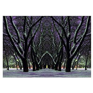 Wee Blue Coo Photo Landscape City Park Trees Winter Snow Symmetry Wall Art Print Wee Blue Coo Photo Landscape City Park Trees Winter Snow Symmetry Wall Art Print