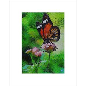 Wee Blue Coo Nature Painting Butterfly Red Insect Flower Wall Art Print Wee Blue Coo Nature Painting Butterfly Red Insect Flower Wall Art Print