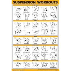 Palace Learning QUICKFIT Suspension Workout Exercise Poster (Laminated, 18in x 24in), Hallway Palace Learning QUICKFIT Suspension Workout Exercise Poster (Laminated, 18in x 24in), Hallway