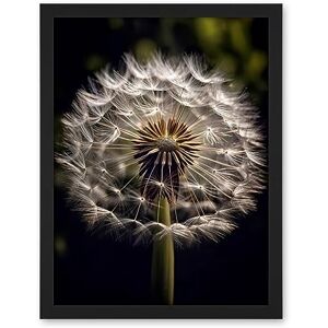 Artery8 Dandelion Flower Pappus Macro Photograph Dark Close Up Detail Artwork Framed Wall Art Print 18X24 Inch Artery8 Dandelion Flower Pappus Macro Photograph Dark Close Up Detail Artwork Framed Wall Art Print 18X24 Inch