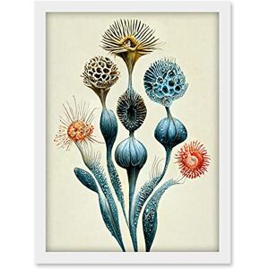 Doppelganger33 LTD Ernst Haeckel Style Alien Flowers Detailed Illustrations Artwork Framed A3 Wall Art Print Doppelganger33 LTD Ernst Haeckel Style Alien Flowers Detailed Illustrations Artwork Framed A3 Wall Art Print