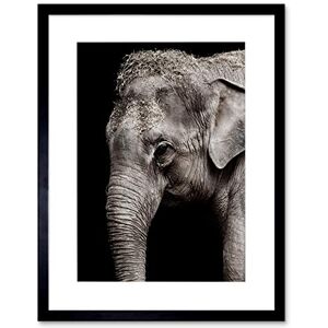 Wee Blue Coo Nature Animal close Up elephant Trunk Black White Framed Wall Art Print Wee Blue Coo Nature Animal close Up elephant Trunk Black White Framed Wall Art Print