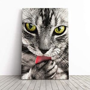 Big Box Art Tabby Cat Licking Paw Canvas Print Gallery Wrapped 30mm Frame Wall Art 30x20 inches Ready to Hang Modern Animals Picture Living Room Bedroom Lounge Office Big Box Art Tabby Cat Licking Paw Canvas Print Gallery Wrapped 30mm Frame Wall Art 30x20 inches Ready to Hang Modern Animals Picture Living Room Bedroom Lounge Office