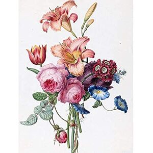 Artery8 Henriette Geertruida Cut A Bouquet Drawing Unframed Wall Art Print Poster Home Decor Premium Artery8 Henriette Geertruida Cut A Bouquet Drawing Unframed Wall Art Print Poster Home Decor Premium