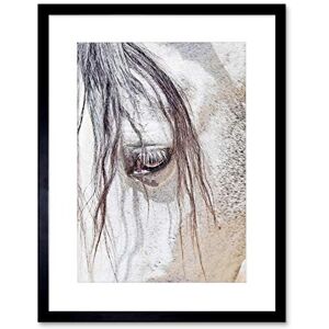 Wee Blue Coo Photo Nature Animal Close Up Andalusian Horse Framed Wall Art Print Wee Blue Coo Photo Nature Animal Close Up Andalusian Horse Framed Wall Art Print