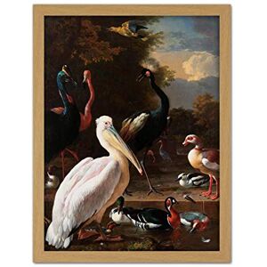 Artery8 Hondecoeter Pelican Birds Pool Floating Feather Artwork Framed Wall Art Print 18X24 Inch Artery8 Hondecoeter Pelican Birds Pool Floating Feather Artwork Framed Wall Art Print 18X24 Inch