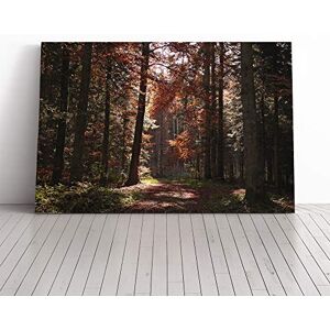 Big Box Art Canvas Print Wall Art Landscape Autumn Forest Woodland Mounted and Stretched Box Frame Picture Home Decor for Kitchen, Living Room, Bedroom, Hallway, Multi-Colour, 24x16 Inch Big Box Art Canvas Print Wall Art Landscape Autumn Forest Woodland Mounted and Stretched Box Frame Picture Home Decor for Kitchen, Living Room, Bedroom, Hallway, Multi-Colour, 24x16 Inch