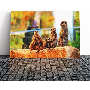 Big Box Art Canvas Print Wall Art Family of Meerkats 2 Mounted and Stretched Box Frame Picture Home Decor for Kitchen, Living, Dining Room, Bedroom, Hallway, Multi-Colour, 30x20 Inch Big Box Art Canvas Print Wall Art Family of Meerkats 2 Mounted and Stretched Box Frame Picture Home Decor for Kitchen, Living, Dining Room, Bedroom, Hallway, Multi-Colour, 30x20 Inch