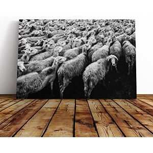 Big Box Art Flock of Sheep (2) Canvas Print Gallery Wrapped 30mm Frame Wall Art 20x14 inches Ready to Hang Modern Animals Picture Living Room Bedroom Lounge Office Big Box Art Flock of Sheep (2) Canvas Print Gallery Wrapped 30mm Frame Wall Art 20x14 inches Ready to Hang Modern Animals Picture Living Room Bedroom Lounge Office