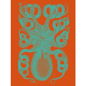 Wee Blue Coo Octopus Coral Blue Red Large Wall Art Print Canvas Premium Poster Wee Blue Coo Octopus Coral Blue Red Large Wall Art Print Canvas Premium Poster