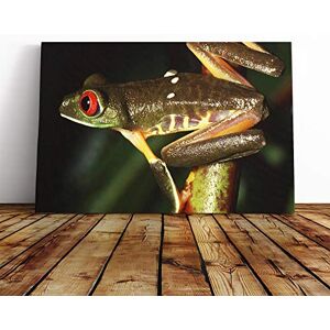 Big Box Art Red Eyed Leaf Frog Canvas Print Gallery Wrapped 30mm Frame Wall Art 20x14 inches Ready to Hang Modern Animals Picture Living Room Bedroom Lounge Office Big Box Art Red Eyed Leaf Frog Canvas Print Gallery Wrapped 30mm Frame Wall Art 20x14 inches Ready to Hang Modern Animals Picture Living Room Bedroom Lounge Office
