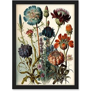Artery8 Vintage Botanical Illustration Ernst Haeckel Inspired Plant Study Modern Watercolour Painting Artwork Framed A3 Wall Art Print Artery8 Vintage Botanical Illustration Ernst Haeckel Inspired Plant Study Modern Watercolour Painting Artwork Framed A3 Wall Art Print