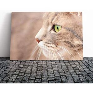 Big Box Art Cat Eyes (6) Canvas Print Gallery Wrapped 30mm Frame Wall Art 20x14 inches Ready to Hang Modern Animals Picture Living Room Bedroom Lounge Office Big Box Art Cat Eyes (6) Canvas Print Gallery Wrapped 30mm Frame Wall Art 20x14 inches Ready to Hang Modern Animals Picture Living Room Bedroom Lounge Office