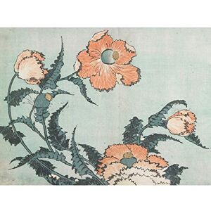 Fine Art Prints Poppies 1833 Katsushika Hokusai Large Wall Art Poster Print Thick Paper 18X24 Inch Fine Art Prints Poppies 1833 Katsushika Hokusai Large Wall Art Poster Print Thick Paper 18X24 Inch