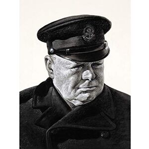 Fine Art Prints Stone Portrait UK Prime Minister Winston Churchill Painting Art Print Canvas Premium Wall Decor Poster Mural Fine Art Prints Stone Portrait UK Prime Minister Winston Churchill Painting Art Print Canvas Premium Wall Decor Poster Mural