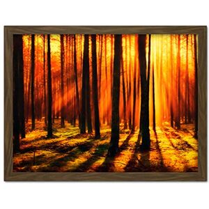 Artery8 Forest Sunset Nature Photograph Artwork Framed Wall Art Print 18X24 Inch Artery8 Forest Sunset Nature Photograph Artwork Framed Wall Art Print 18X24 Inch