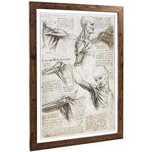Big Box Art Framed Print of Leonardo Da Vinci Anatomy 4 Design Wall Art Picture Home Decor for Kitchen, Living, Dining Room, Bedroom, Hallway, Office, Walnut, A2 / 24.5x18 Inch / 62x45cm Big Box Art Framed Print of Leonardo Da Vinci Anatomy 4 Design Wall Art Picture Home Decor for Kitchen, Living, Dining Room, Bedroom, Hallway, Office, Walnut, A2 / 24.5x18 Inch / 62x45cm