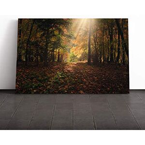 Big Box Art Canvas Print Wall Art Landscape Sunlight Forest Wood (10) Mounted & Stretched Box Frame Picture Home Decor for Kitchen, Living Room, Bedroom, Hallway, Multi-Colour, 24x16 Inch Big Box Art Canvas Print Wall Art Landscape Sunlight Forest Wood (10) Mounted & Stretched Box Frame Picture Home Decor for Kitchen, Living Room, Bedroom, Hallway, Multi-Colour, 24x16 Inch