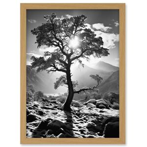 Artery8 Frozen Tree Outline in Mountain Forest Landscape Covered in Snow Black and White Photograph Winter Sunshine Artwork Framed A3 Wall Art Print Artery8 Frozen Tree Outline in Mountain Forest Landscape Covered in Snow Black and White Photograph Winter Sunshine Artwork Framed A3 Wall Art Print