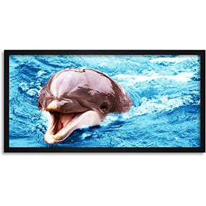 Wee Blue Coo Bottlenose Dolphin Laughing Happy Swimming Long Panel Framed Wall Art Print Wee Blue Coo Bottlenose Dolphin Laughing Happy Swimming Long Panel Framed Wall Art Print