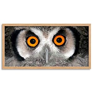 Wee Blue Coo Owl Face Bird Close Up Long Panel Framed Wall Art Print Wee Blue Coo Owl Face Bird Close Up Long Panel Framed Wall Art Print