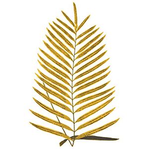 Wee Blue Coo Botanics Gold And Grey Fern Large Wall Art Print Canvas Premium Poster Wee Blue Coo Botanics Gold And Grey Fern Large Wall Art Print Canvas Premium Poster