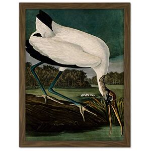 Artery8 Audubon Birds Wood Ibis Painting Artwork Framed Wall Art Print 18X24 Inch Artery8 Audubon Birds Wood Ibis Painting Artwork Framed Wall Art Print 18X24 Inch