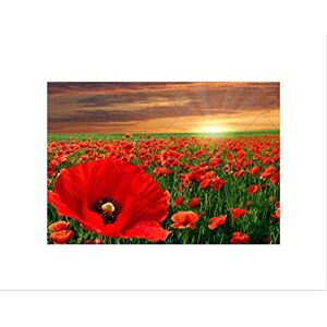 Wee Blue Coo NATURE LANDSCAPE POPPY FIELD SUN RISE RED FLOWER BEAUTIFUL FRAMED PRINT B12X4071 Wee Blue Coo NATURE LANDSCAPE POPPY FIELD SUN RISE RED FLOWER BEAUTIFUL FRAMED PRINT B12X4071