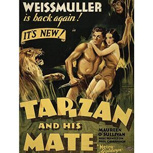 Wee Blue Coo Advertising Movie Film Tarzan Mate Jane Weissmuller Jungle Lion Art Print Poster Wall Decor 12X16 Inch Wee Blue Coo Advertising Movie Film Tarzan Mate Jane Weissmuller Jungle Lion Art Print Poster Wall Decor 12X16 Inch