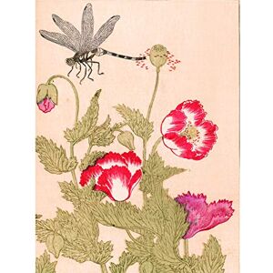 Artery8 Kitagawa Utamaro Dragonfly Flowers Japanese Painting Large Wall Art Poster Print Thick Paper 18X24 Inch Artery8 Kitagawa Utamaro Dragonfly Flowers Japanese Painting Large Wall Art Poster Print Thick Paper 18X24 Inch