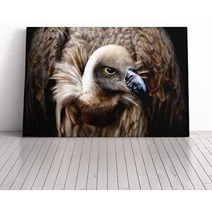 Big Box Art Vulture Bird (3) Canvas Print Gallery Wrapped 30mm Frame Wall Art 24x16 inches Ready to Hang Modern Animals Picture Living Room Bedroom Lounge Office Big Box Art Vulture Bird (3) Canvas Print Gallery Wrapped 30mm Frame Wall Art 24x16 inches Ready to Hang Modern Animals Picture Living Room Bedroom Lounge Office