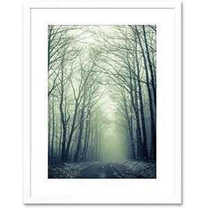 Wee Blue Coo NATURE PHOTO FOREST TREES WINTER TRACK FRAMED ART PRINT POSTER F97X11977 Wee Blue Coo NATURE PHOTO FOREST TREES WINTER TRACK FRAMED ART PRINT POSTER F97X11977