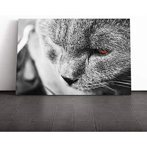 Big Box Art Cat Eyes (9) Canvas Print Gallery Wrapped 30mm Frame Wall Art 20x14 inches Ready to Hang Modern Animals Picture Living Room Bedroom Lounge Office Big Box Art Cat Eyes (9) Canvas Print Gallery Wrapped 30mm Frame Wall Art 20x14 inches Ready to Hang Modern Animals Picture Living Room Bedroom Lounge Office