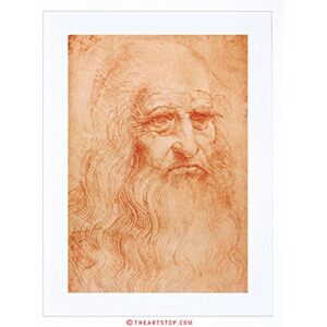 Wee Blue Coo Painting Portrait Study Da Vinci Man Red Chalk Framed Wall Art Print Wee Blue Coo Painting Portrait Study Da Vinci Man Red Chalk Framed Wall Art Print