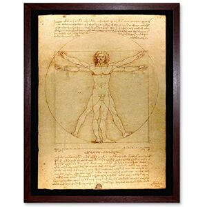 Fine Art Prints Da Vinci Vitruvian Man Human Proportions 1490 Diagram Art Print Framed Poster Wall Decor 12x16 inch Fine Art Prints Da Vinci Vitruvian Man Human Proportions 1490 Diagram Art Print Framed Poster Wall Decor 12x16 inch