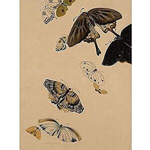 Fine Art Prints Zeshin Butterflies Japanese Laquer Painting Art Print Canvas Premium Wall Decor Poster Mural Fine Art Prints Zeshin Butterflies Japanese Laquer Painting Art Print Canvas Premium Wall Decor Poster Mural