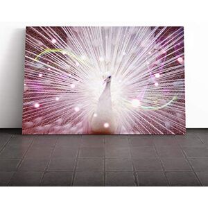 Big Box Art White Peacock Bird Canvas Print Gallery Wrapped 30mm Frame Wall Art 20x14 inches Ready to Hang Modern Animals Picture Living Room Bedroom Lounge Office Big Box Art White Peacock Bird Canvas Print Gallery Wrapped 30mm Frame Wall Art 20x14 inches Ready to Hang Modern Animals Picture Living Room Bedroom Lounge Office