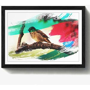 Arty Pie Framed Print Black A2 (24.5x18 Inch) Sparrow Tree Branch V2, Wood, Multi-Colour, 60 x 42 x 2 cm Arty Pie Framed Print Black A2 (24.5x18 Inch) Sparrow Tree Branch V2, Wood, Multi-Colour, 60 x 42 x 2 cm