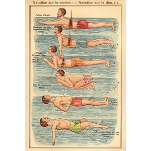 Close Up Natation Poster nach Friedrich Eduard Bilz (61cm x 91,5cm) Close Up Natation Poster nach Friedrich Eduard Bilz (61cm x 91,5cm)